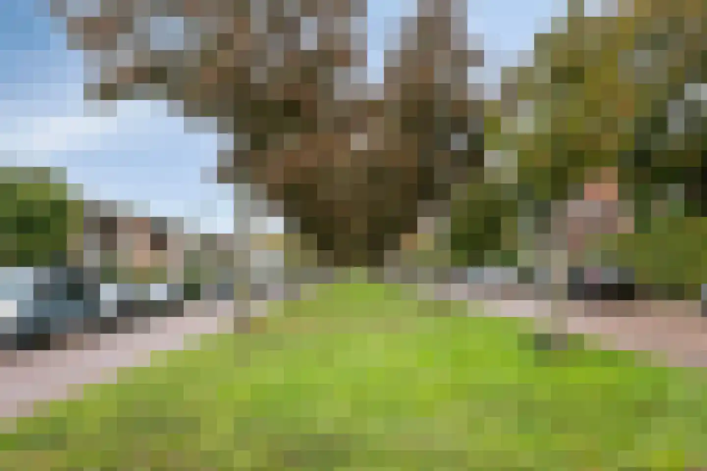 Teugenaarsstraat 89 Oss thumbnail 33