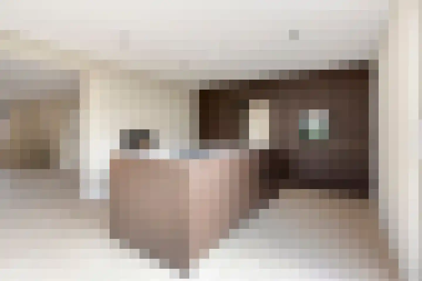 Teugenaarsstraat 89 Oss thumbnail 8