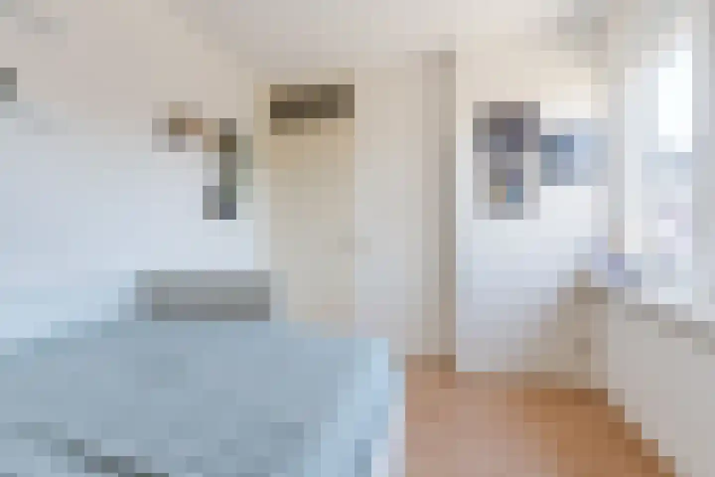 Teulland 23 Eersel thumbnail 22