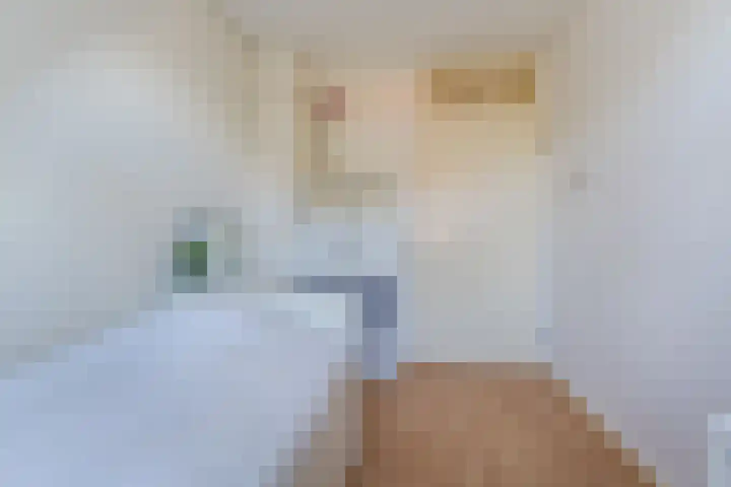 Teulland 23 Eersel thumbnail 24