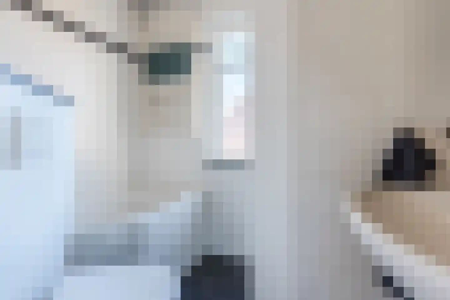 Teulland 23 Eersel thumbnail 25