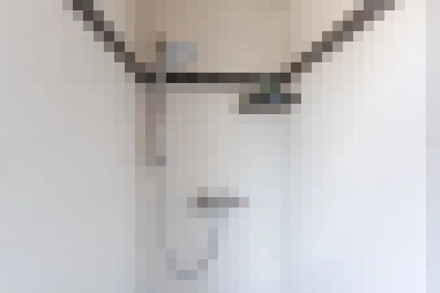 Teulland 23 Eersel thumbnail 27