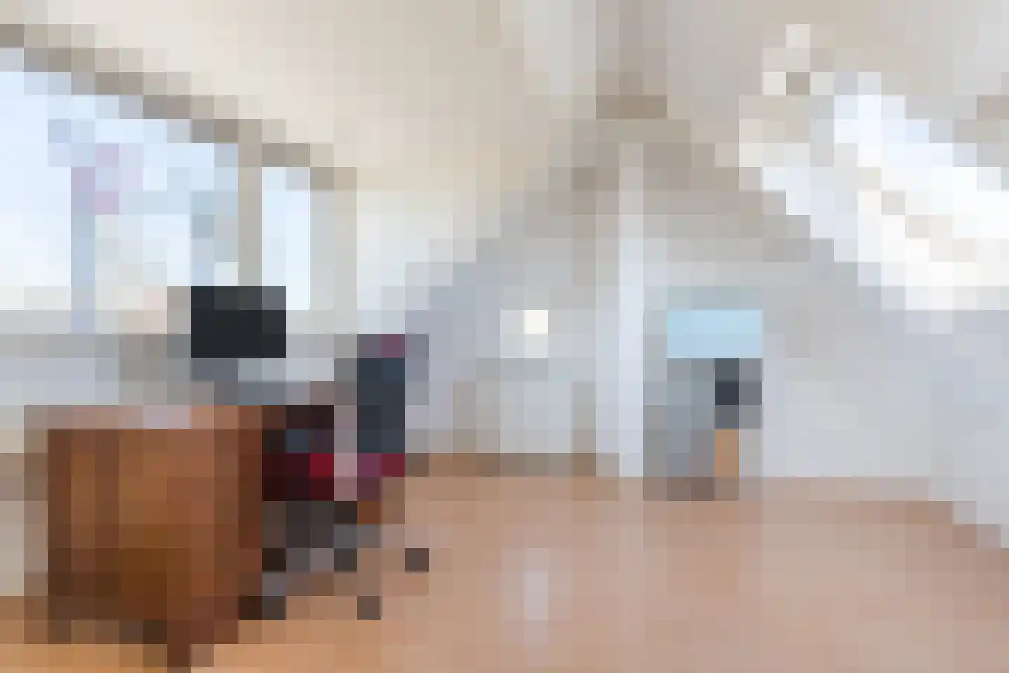 Teulland 23 Eersel thumbnail 29
