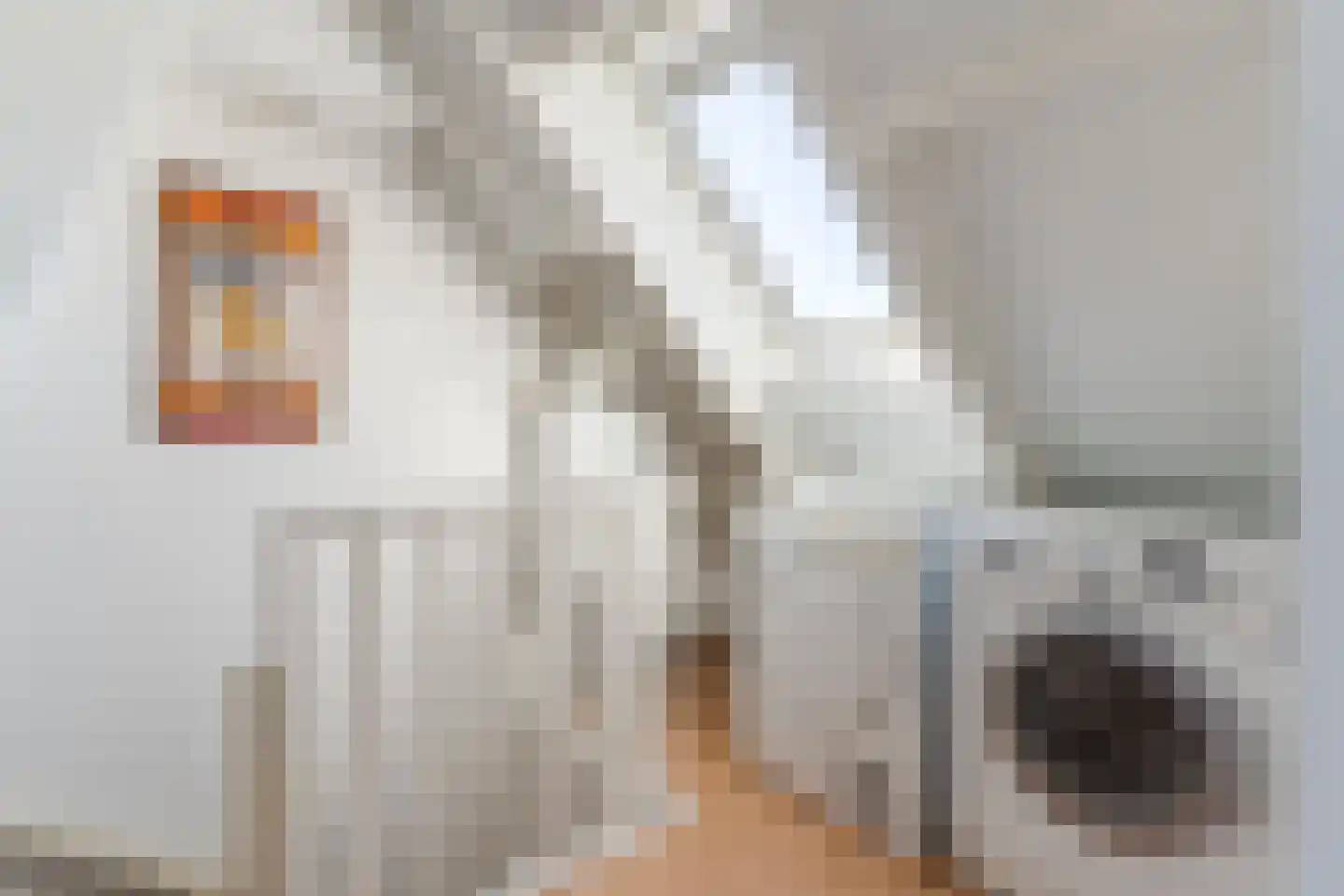 Teulland 23 Eersel thumbnail 31