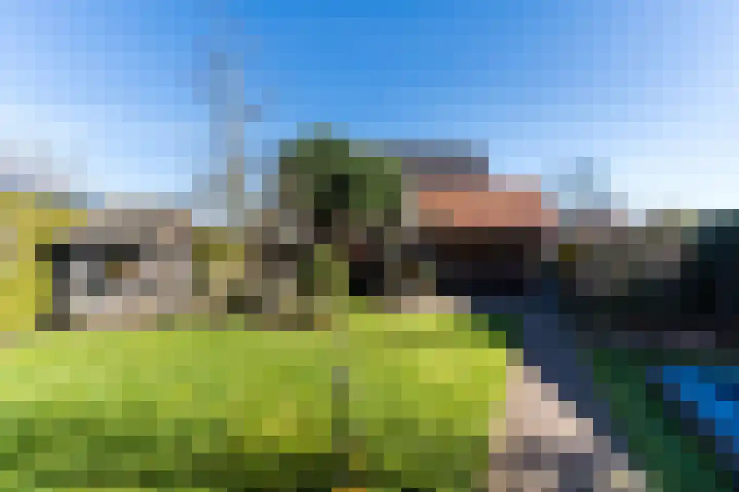 Teulland 23 Eersel thumbnail 35