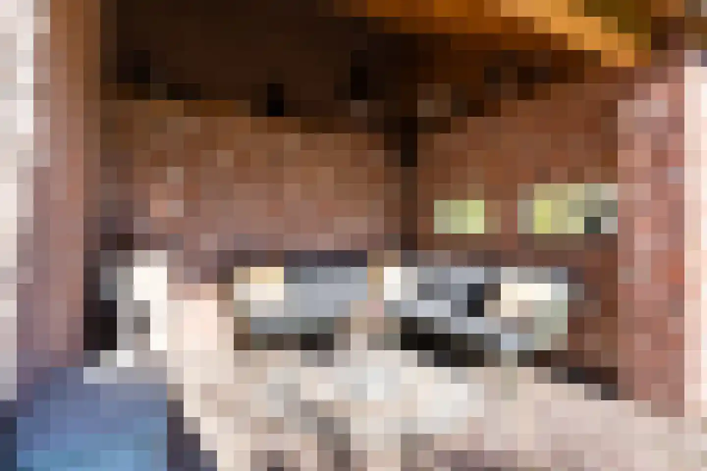 Teulland 23 Eersel thumbnail 43