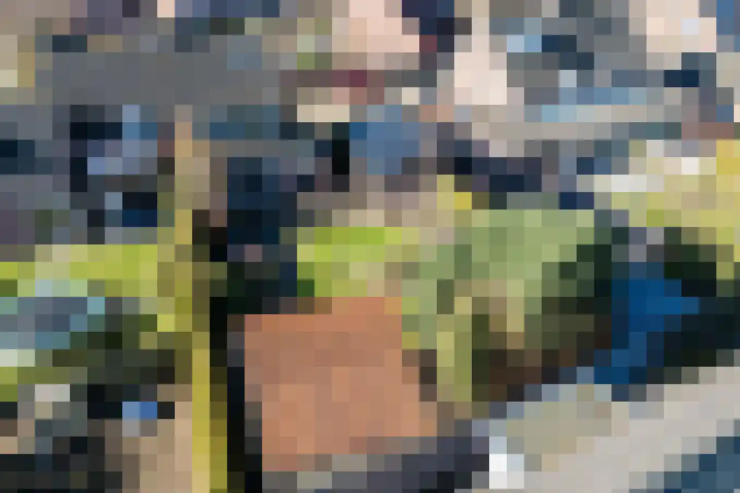Teulland 23 Eersel thumbnail 44