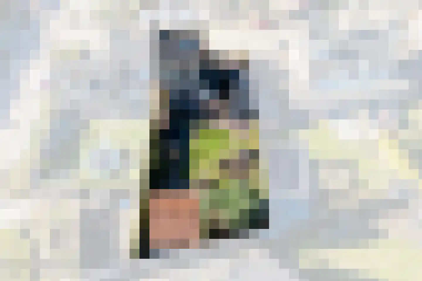 Teulland 23 Eersel thumbnail 45