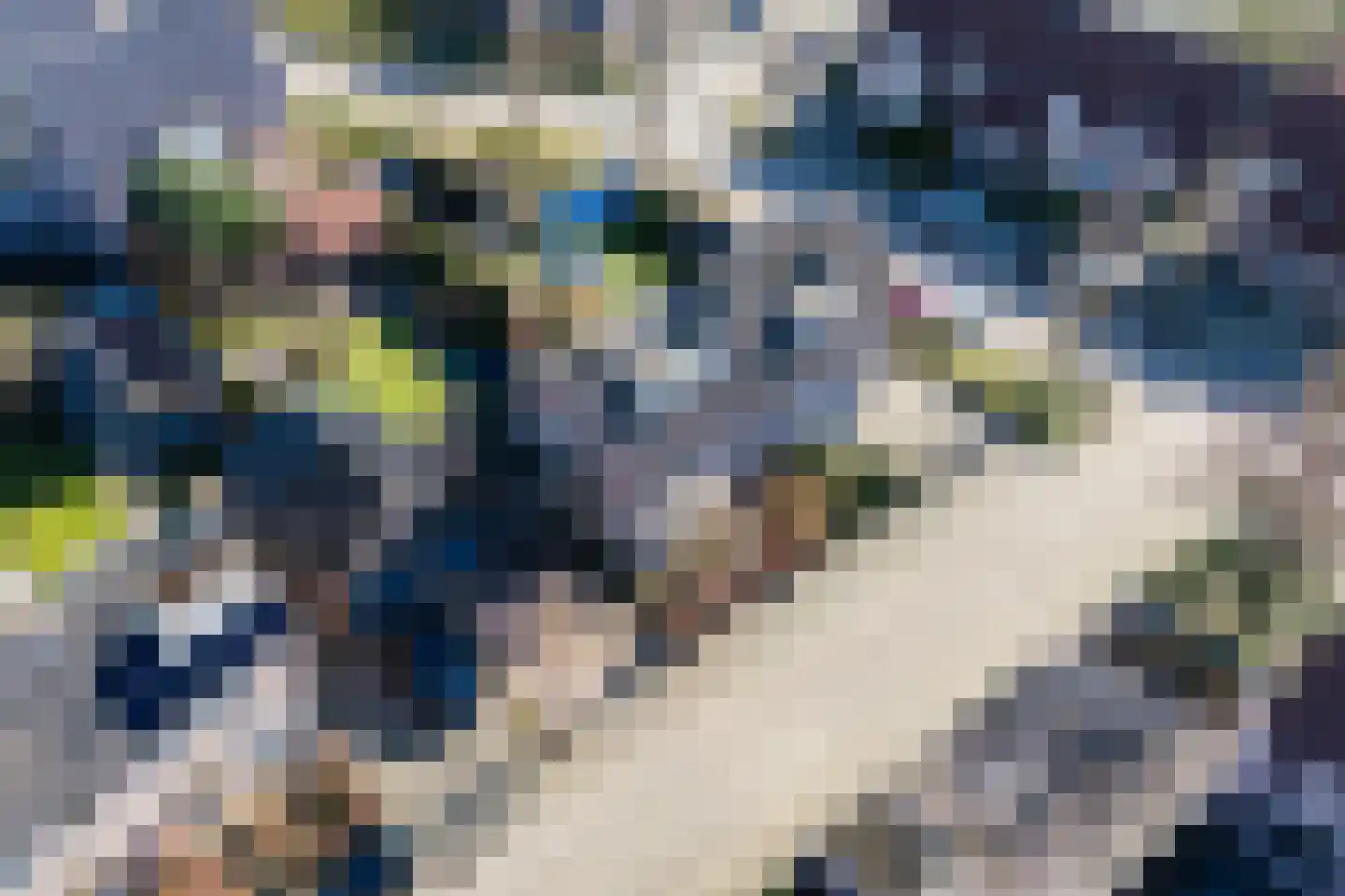 Teulland 23 Eersel thumbnail 46