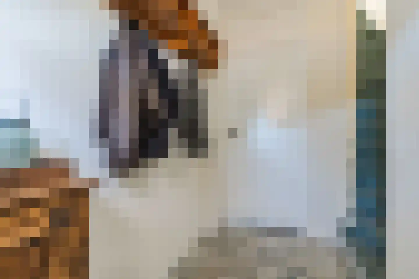 Teulland 23 Eersel thumbnail 5