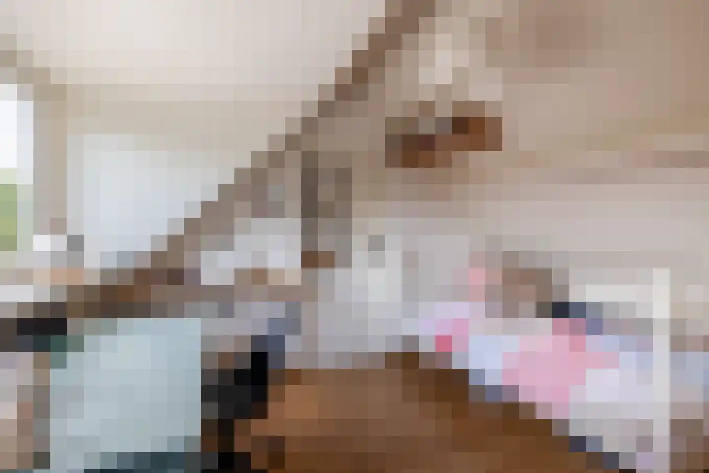 Teulland 25 Eersel thumbnail 31