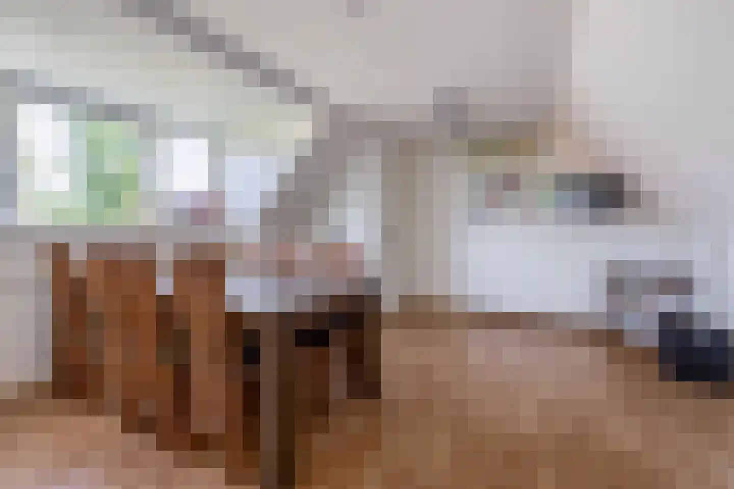 Teulland 25 Eersel thumbnail 34