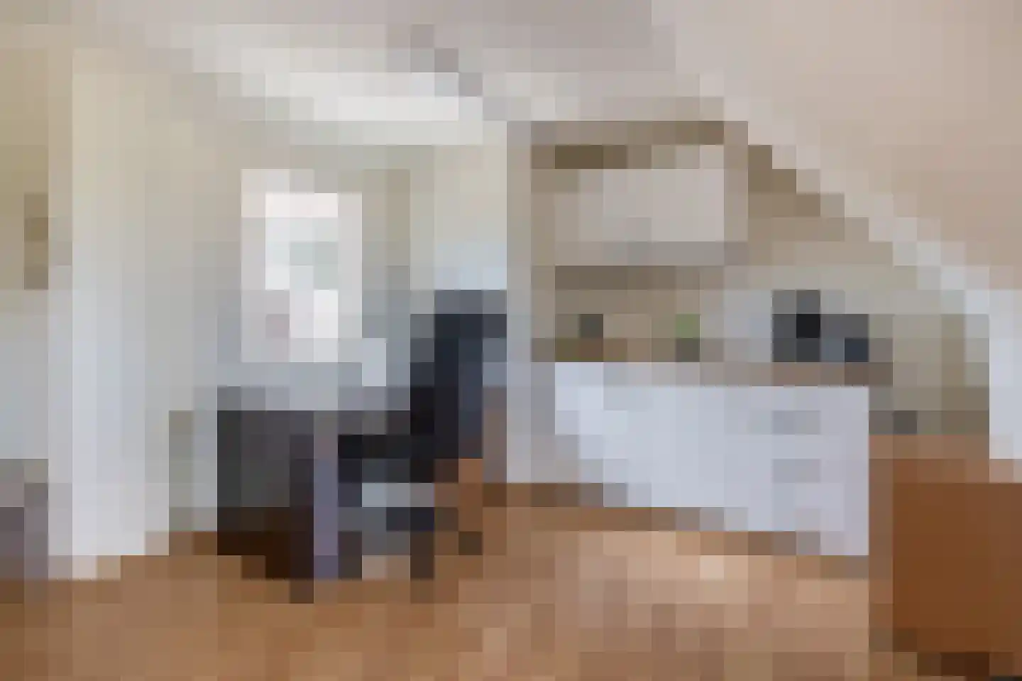 Teulland 25 Eersel thumbnail 35