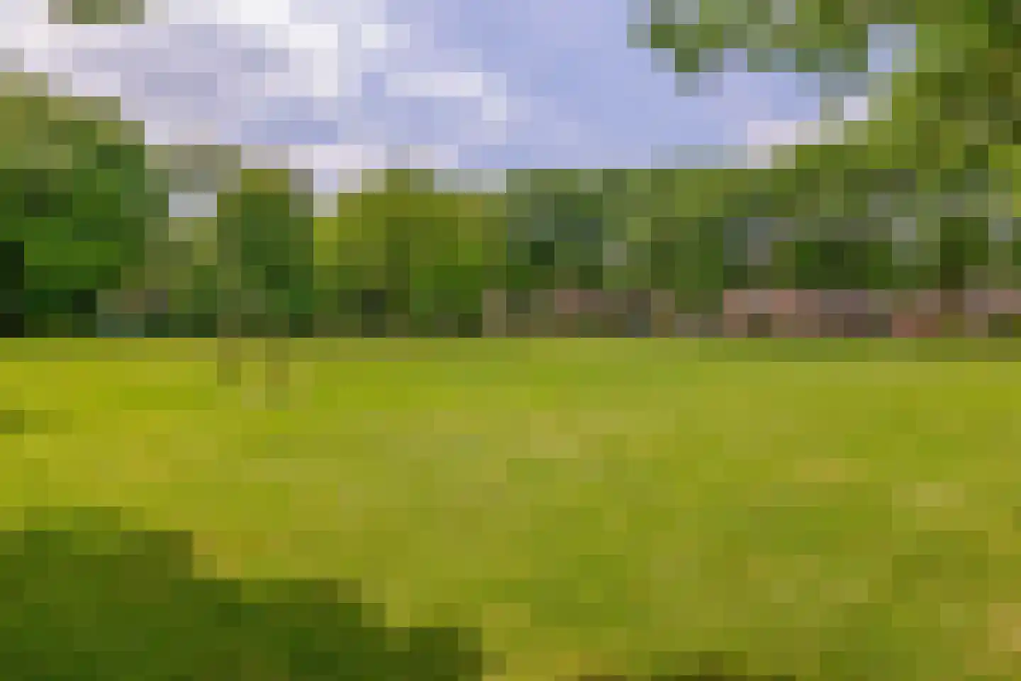 Teulland 25 Eersel thumbnail 48