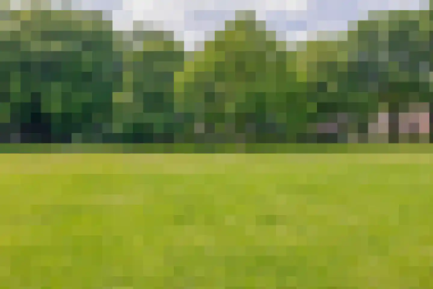 Teulland 25 Eersel thumbnail 50