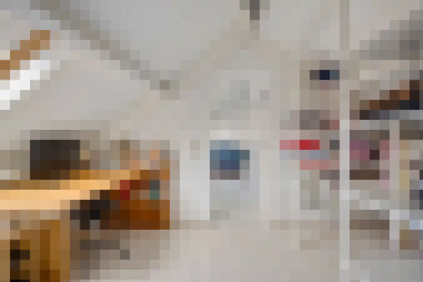 Teun de Grooterf 13 Voorschoten thumbnail 45