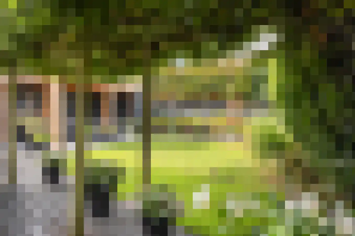Teun de Grooterf 13 Voorschoten thumbnail 53