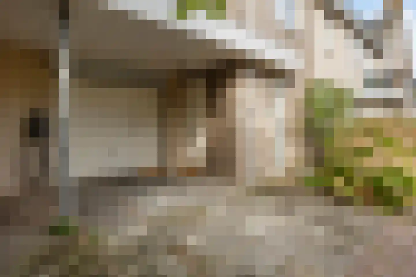 Teun de Grooterf 13 Voorschoten thumbnail 61