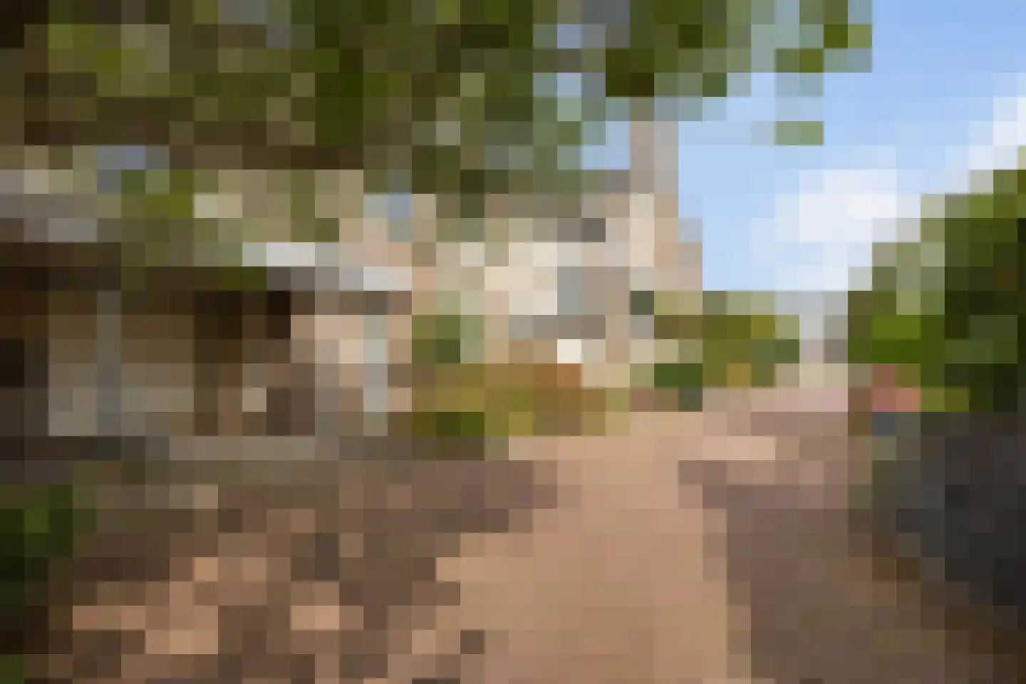 Teun de Grooterf 13 Voorschoten thumbnail 62