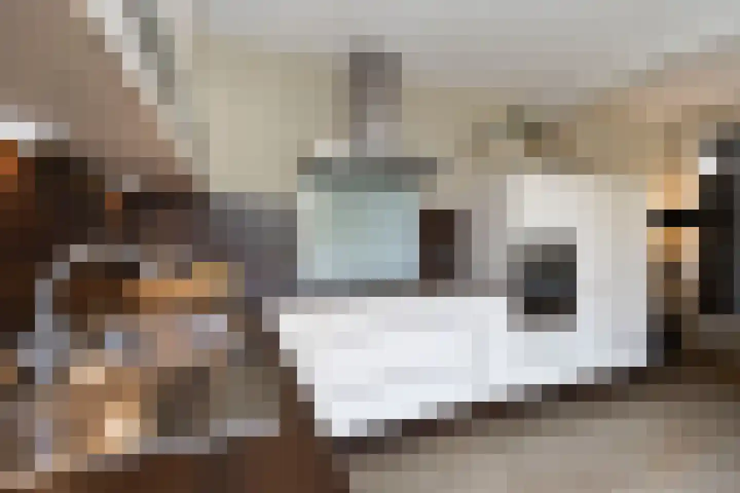 Teune Smeedstraat 1 Stramproy thumbnail 16