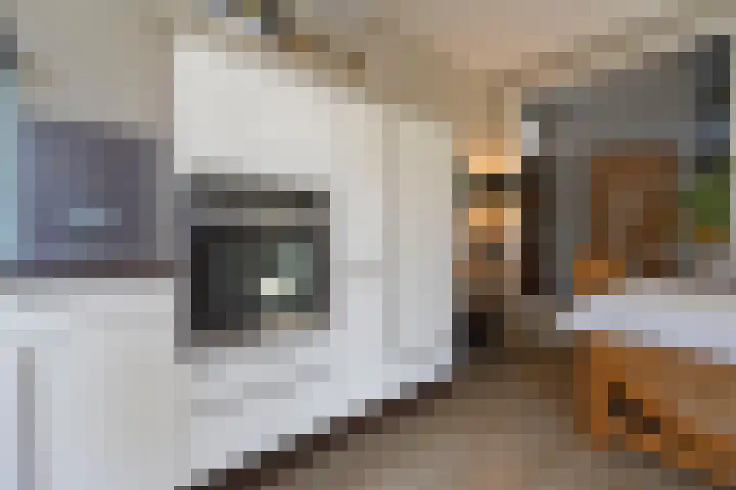 Teune Smeedstraat 1 Stramproy thumbnail 18