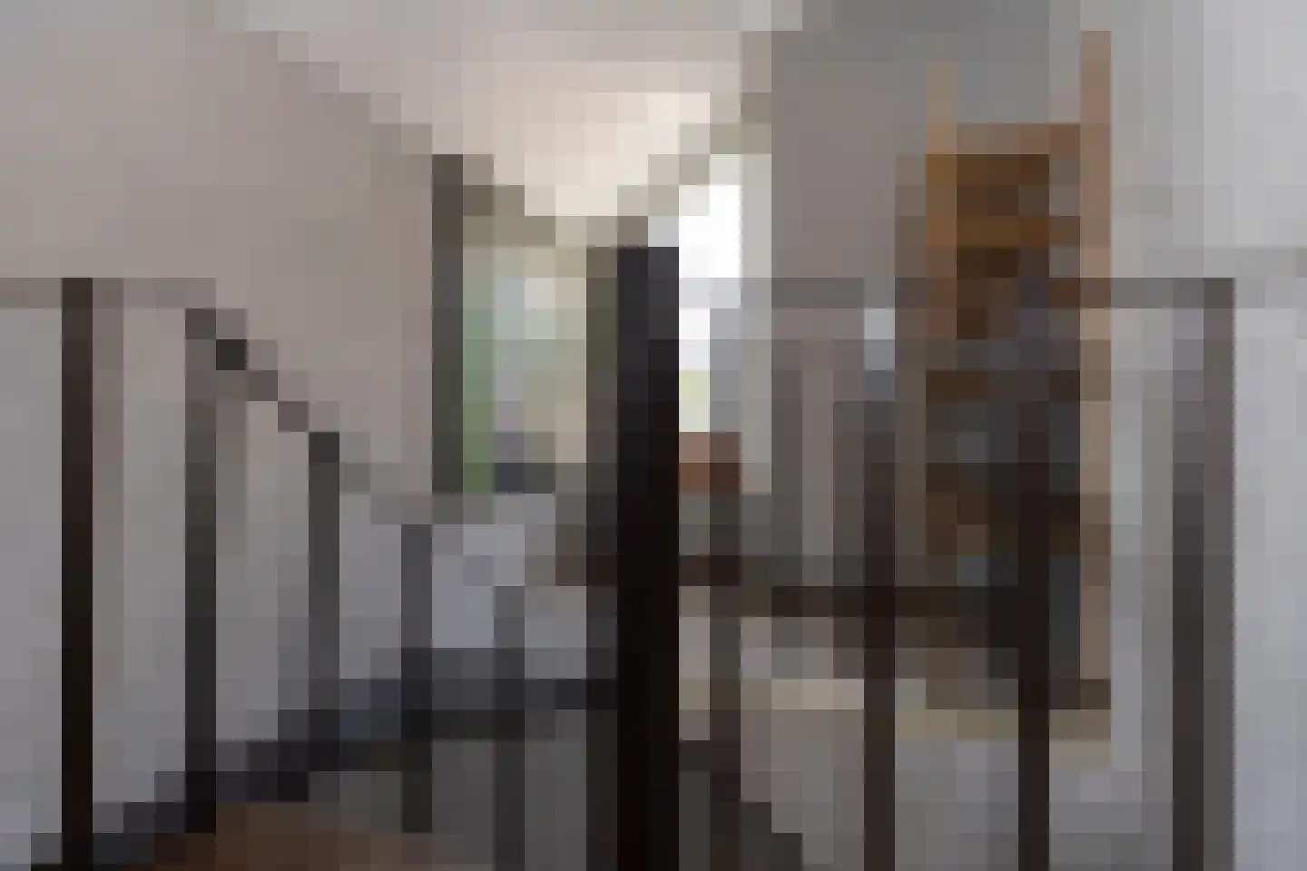 Teune Smeedstraat 1 Stramproy thumbnail 23