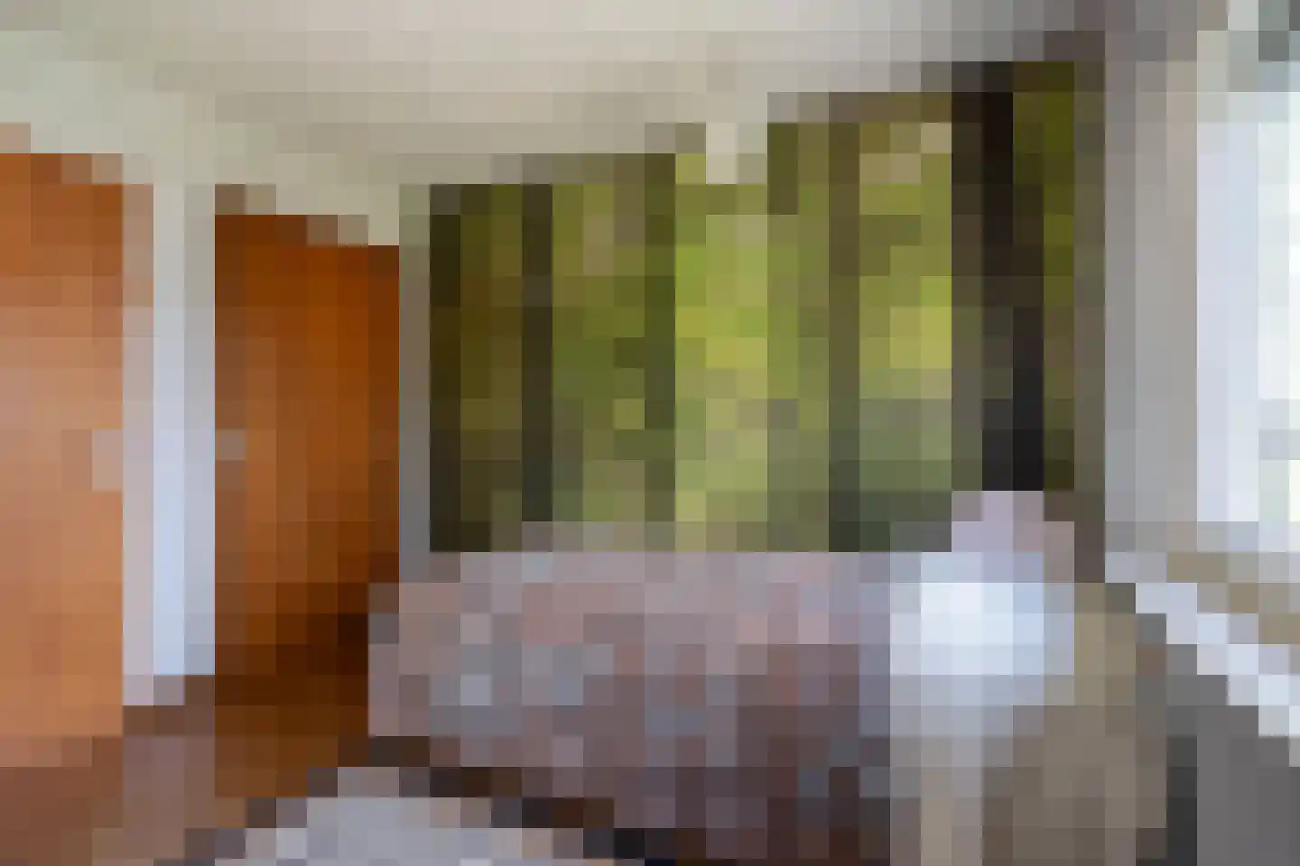 Teune Smeedstraat 1 Stramproy thumbnail 28