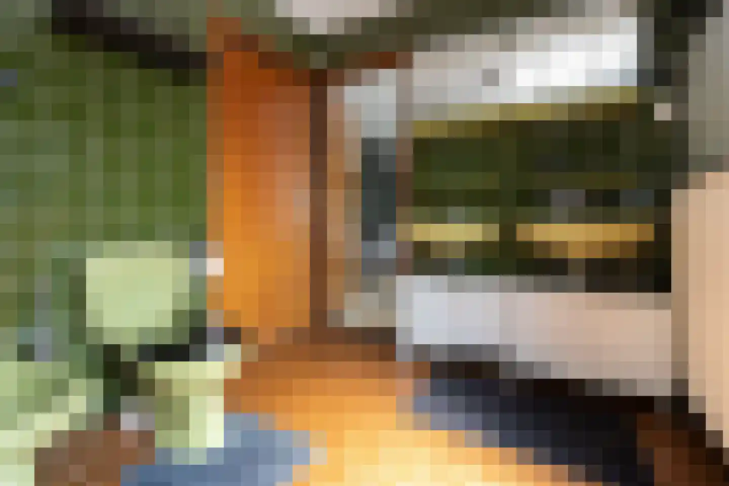 Teune Smeedstraat 1 Stramproy thumbnail 30