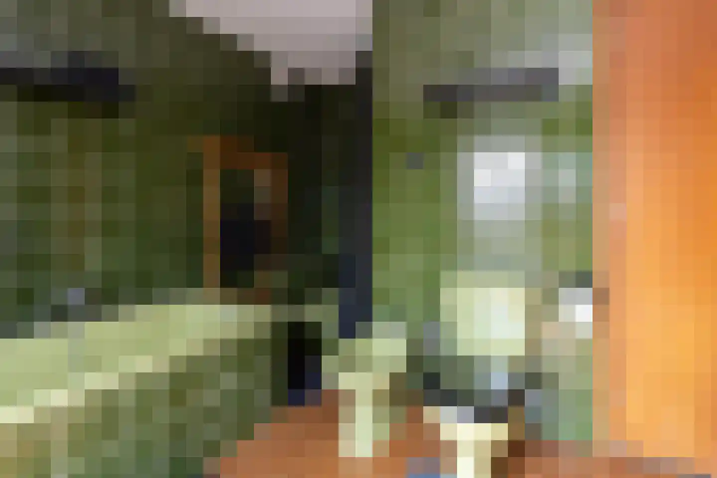 Teune Smeedstraat 1 Stramproy thumbnail 31
