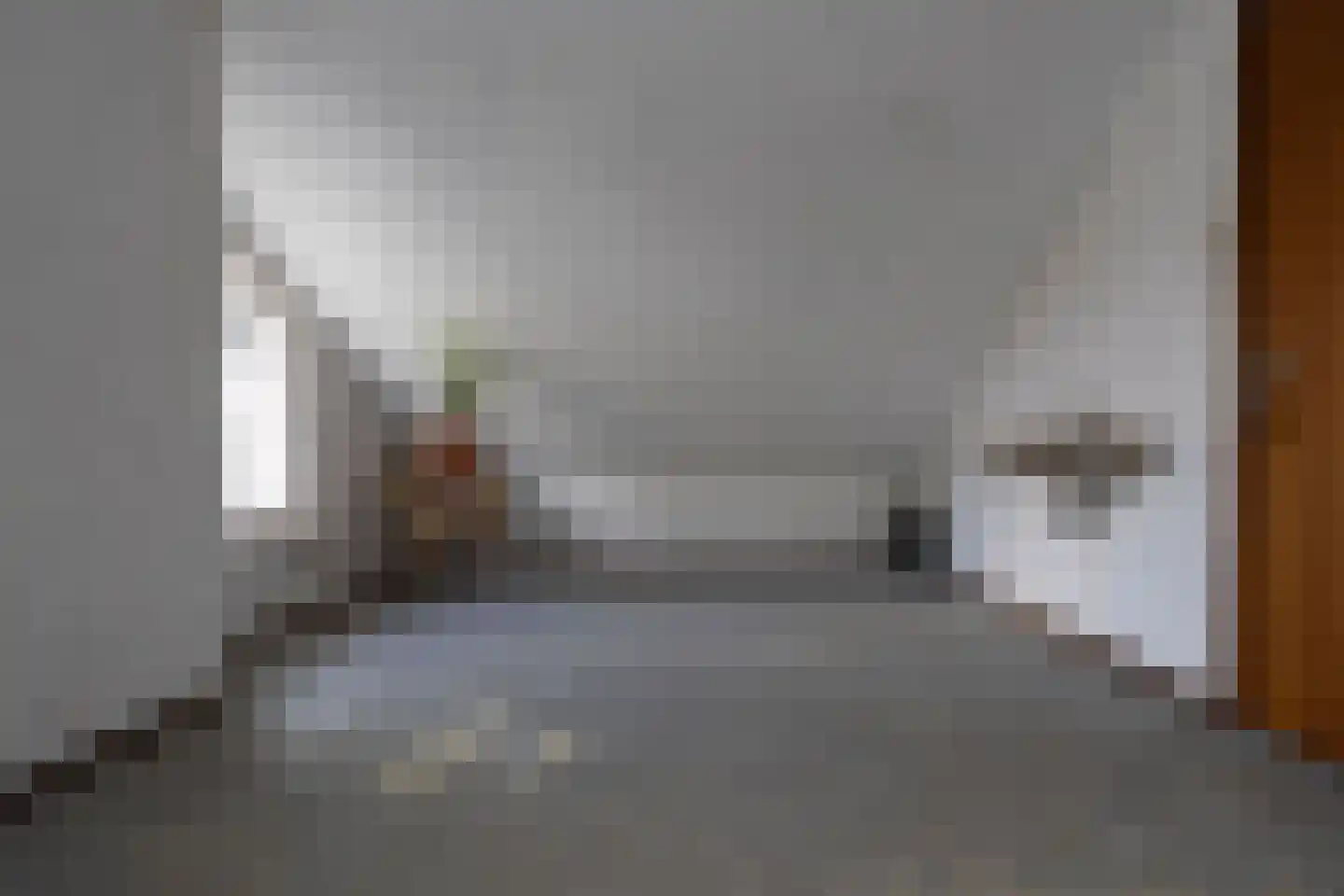 Teune Smeedstraat 1 Stramproy thumbnail 34