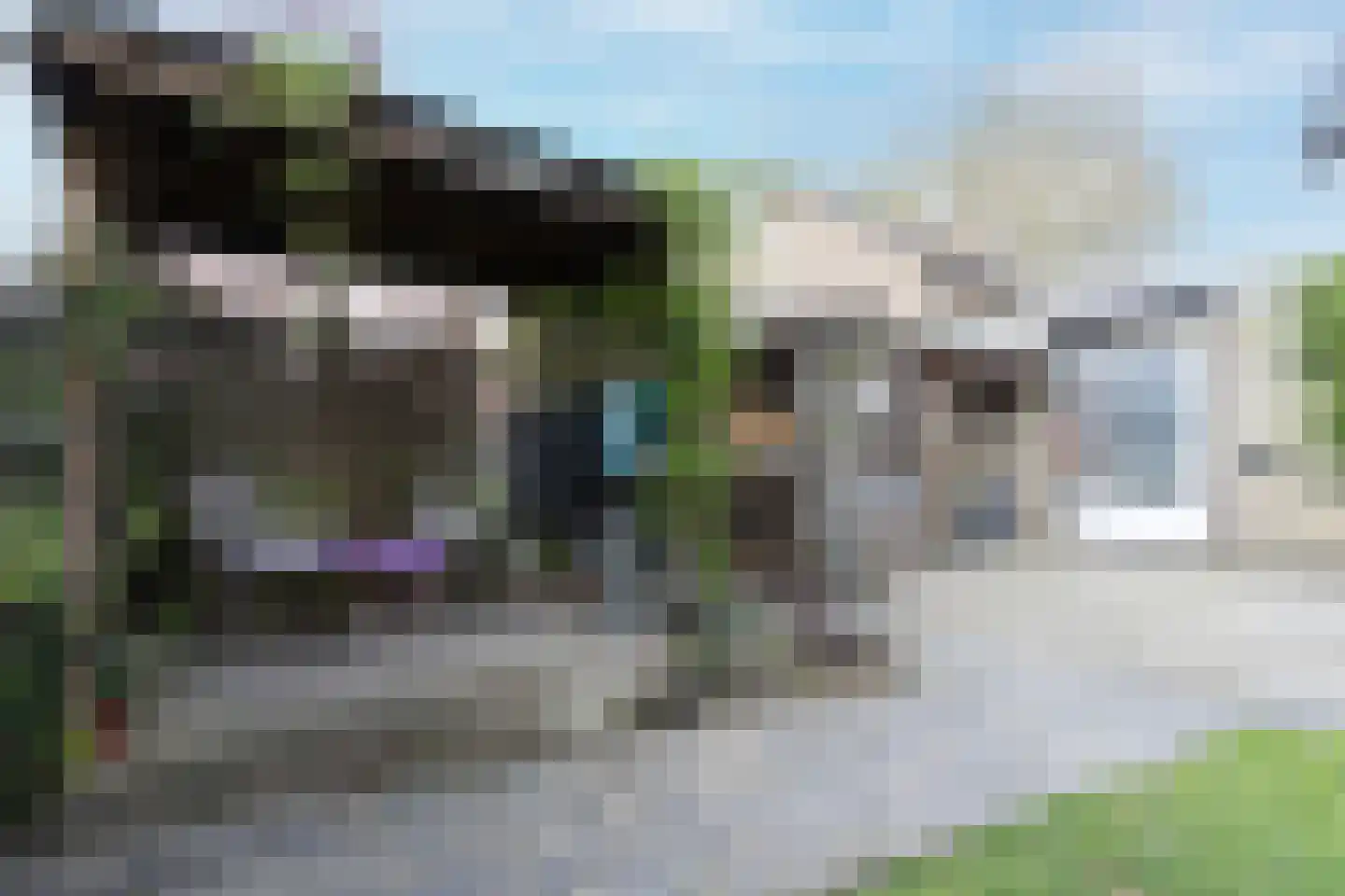 Teune Smeedstraat 1 Stramproy thumbnail 40
