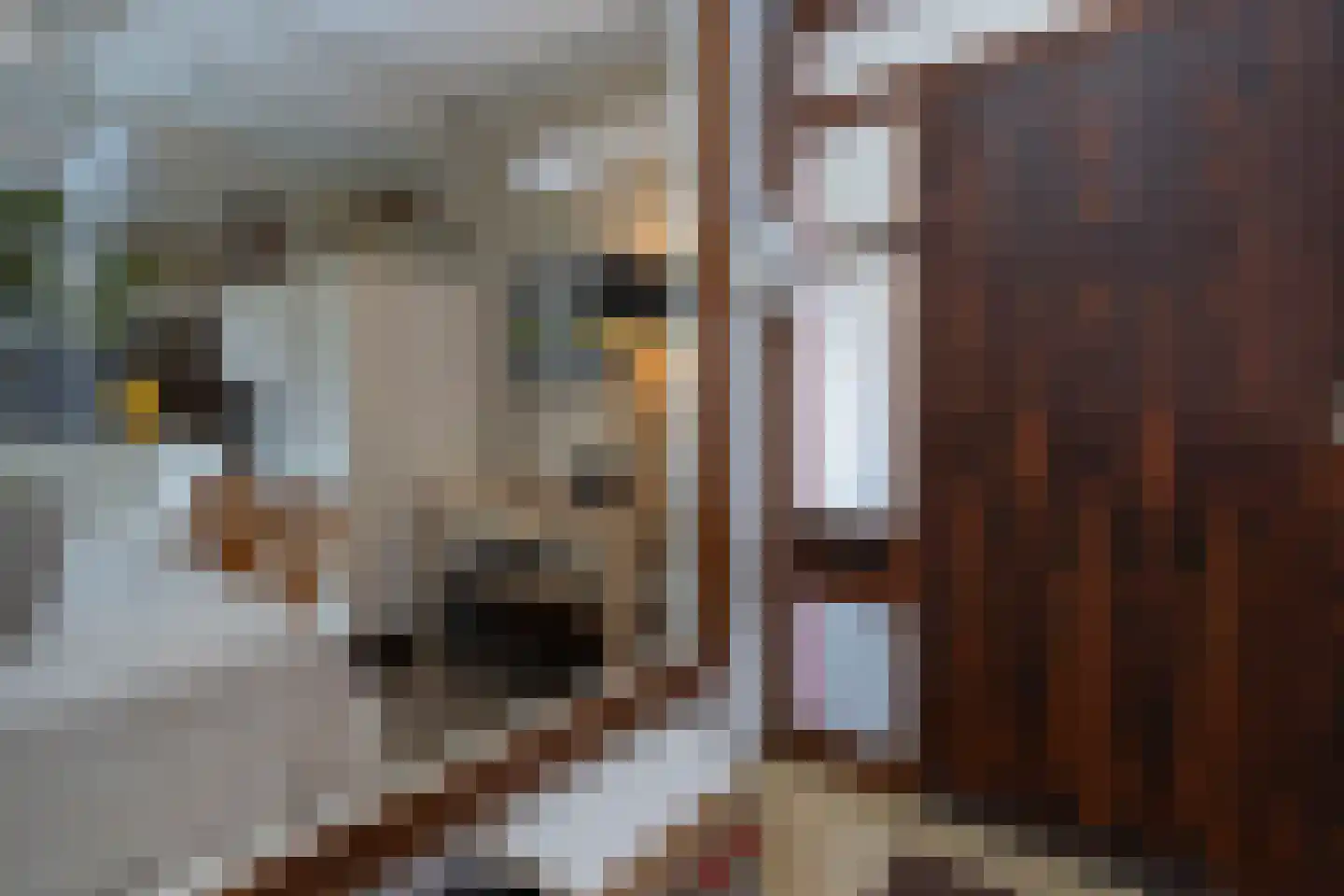 Teune Smeedstraat 1 Stramproy thumbnail 5