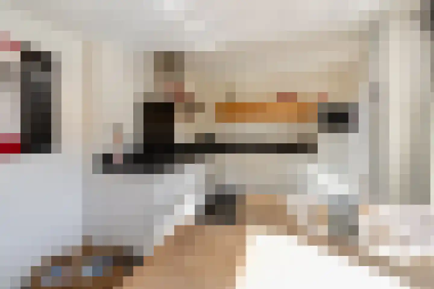 Teune Smeedstraat 3 Stramproy thumbnail 18