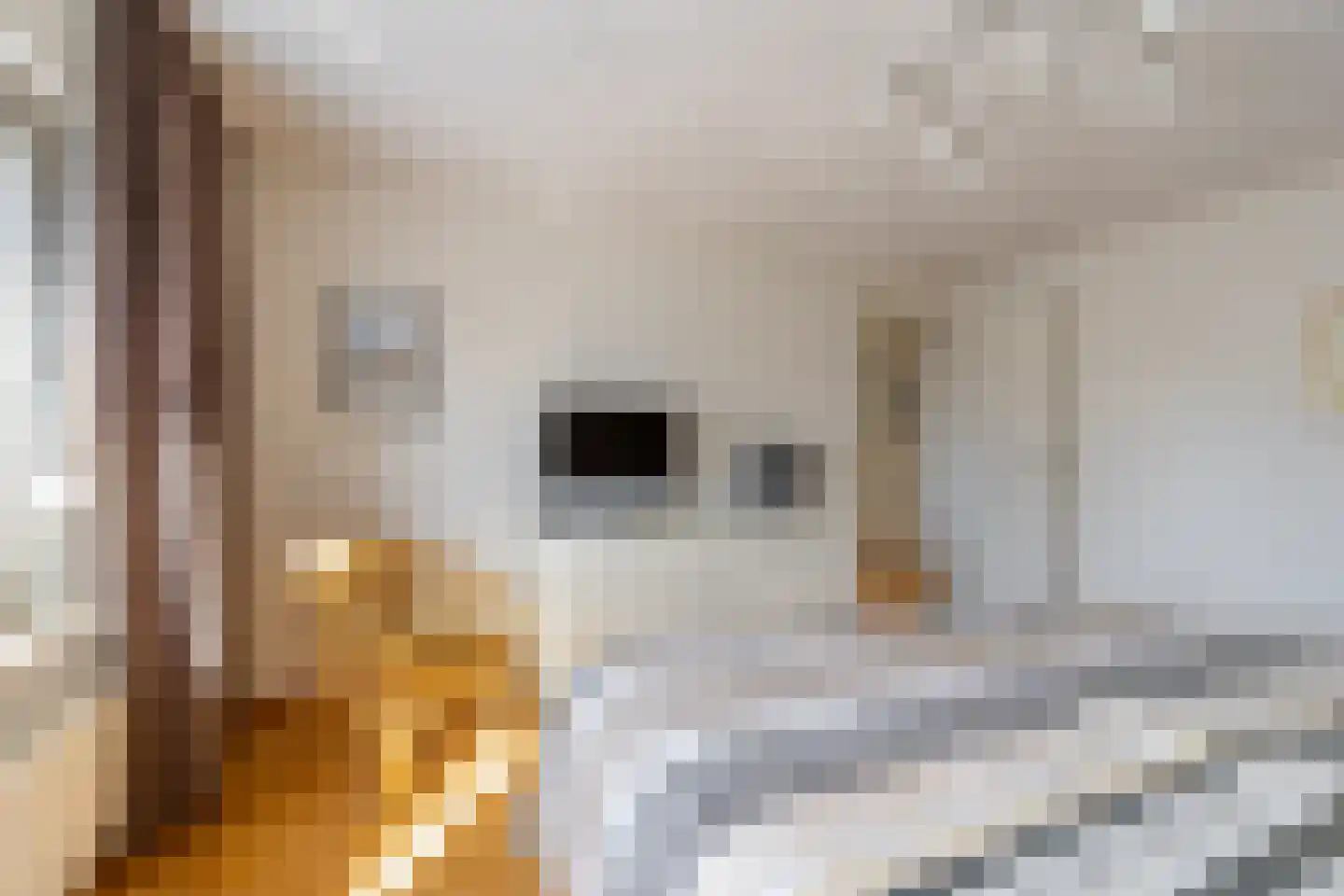 Teune Smeedstraat 3 Stramproy thumbnail 26