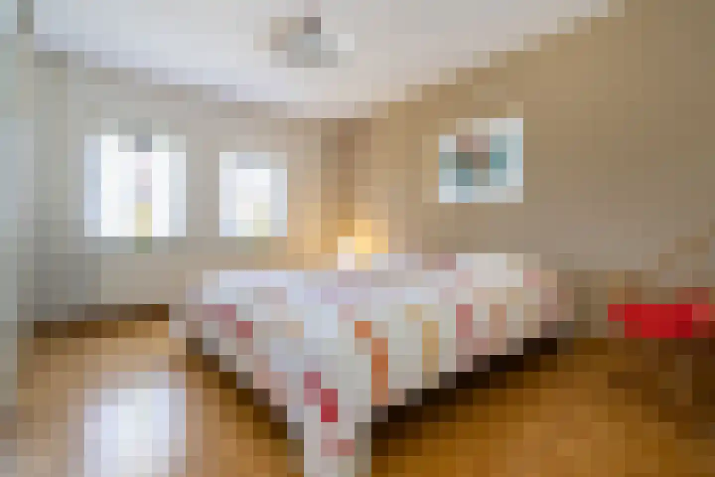 Teune Smeedstraat 3 Stramproy thumbnail 27