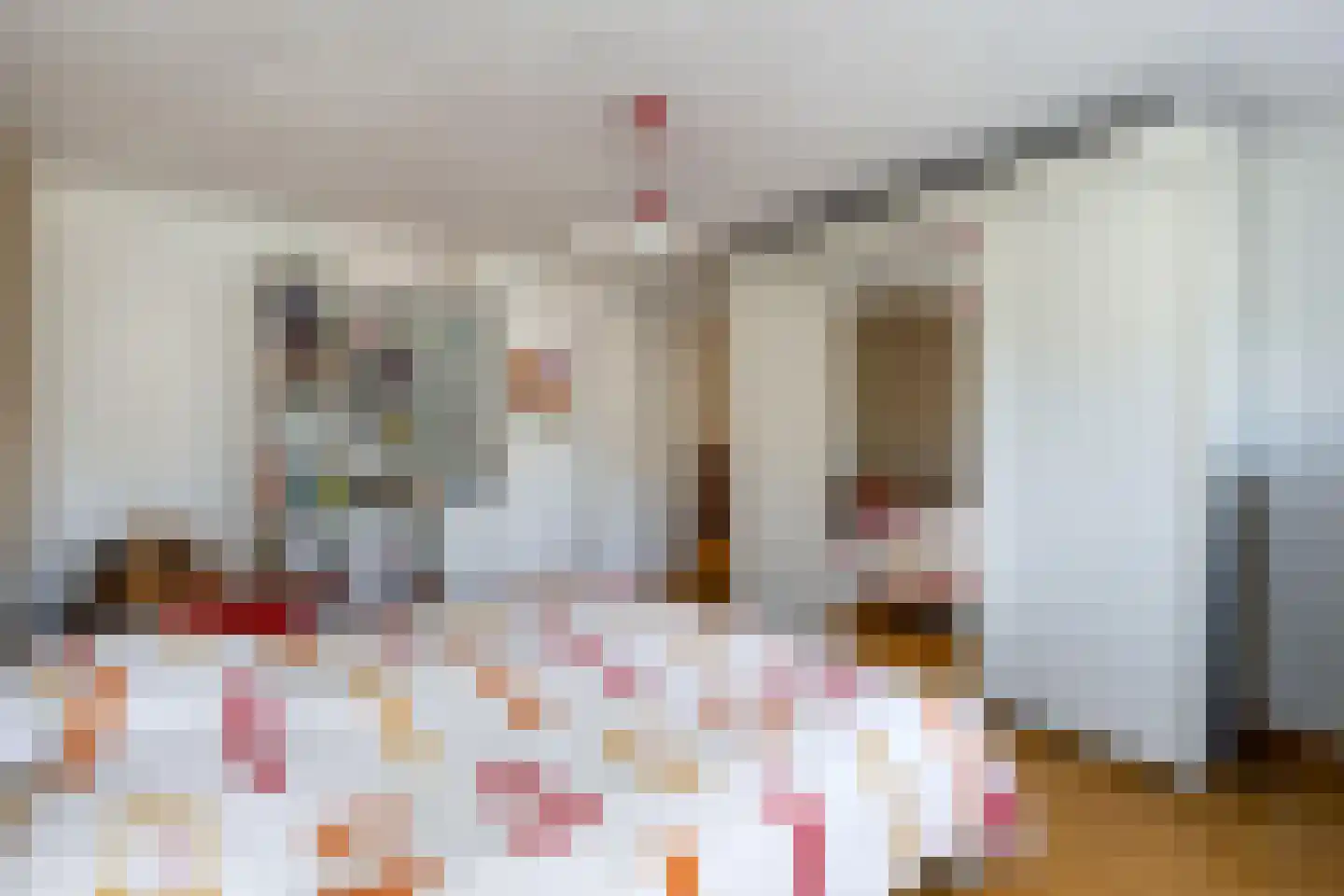 Teune Smeedstraat 3 Stramproy thumbnail 28