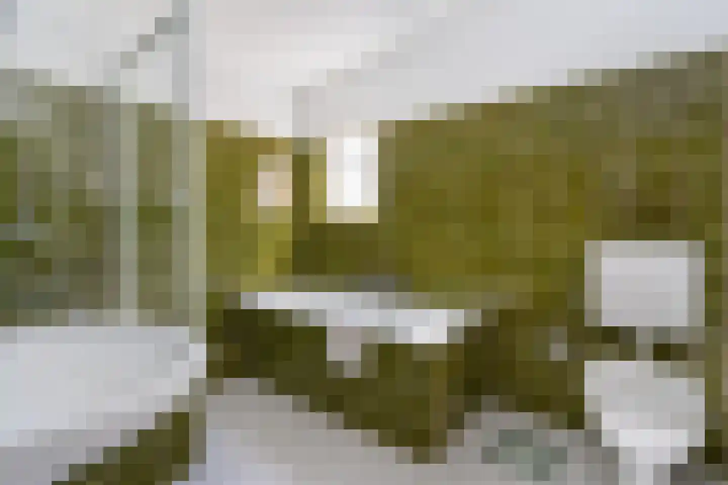 Teune Smeedstraat 3 Stramproy thumbnail 31