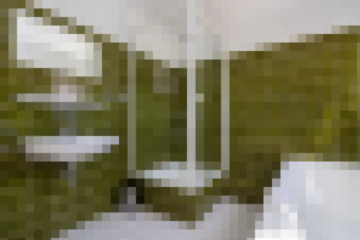 Teune Smeedstraat 3 Stramproy thumbnail 32