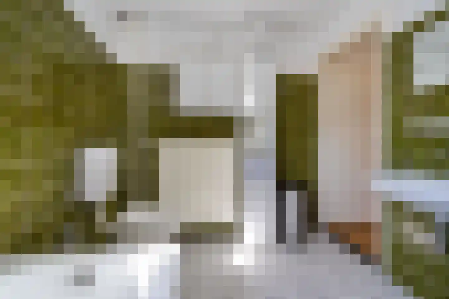 Teune Smeedstraat 3 Stramproy thumbnail 33