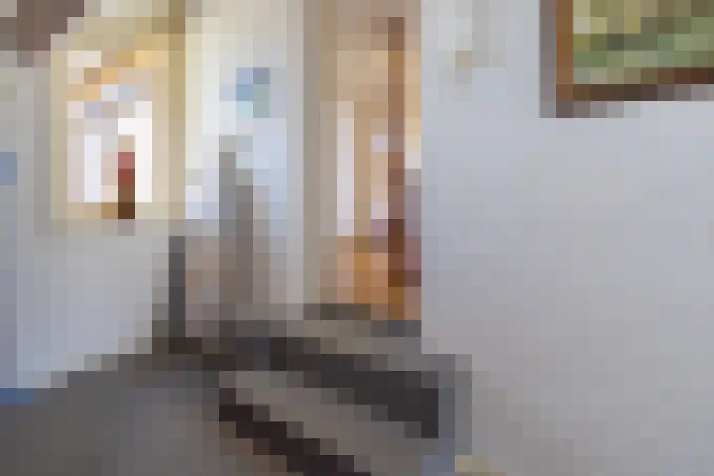 Teune Smeedstraat 3 Stramproy thumbnail 34
