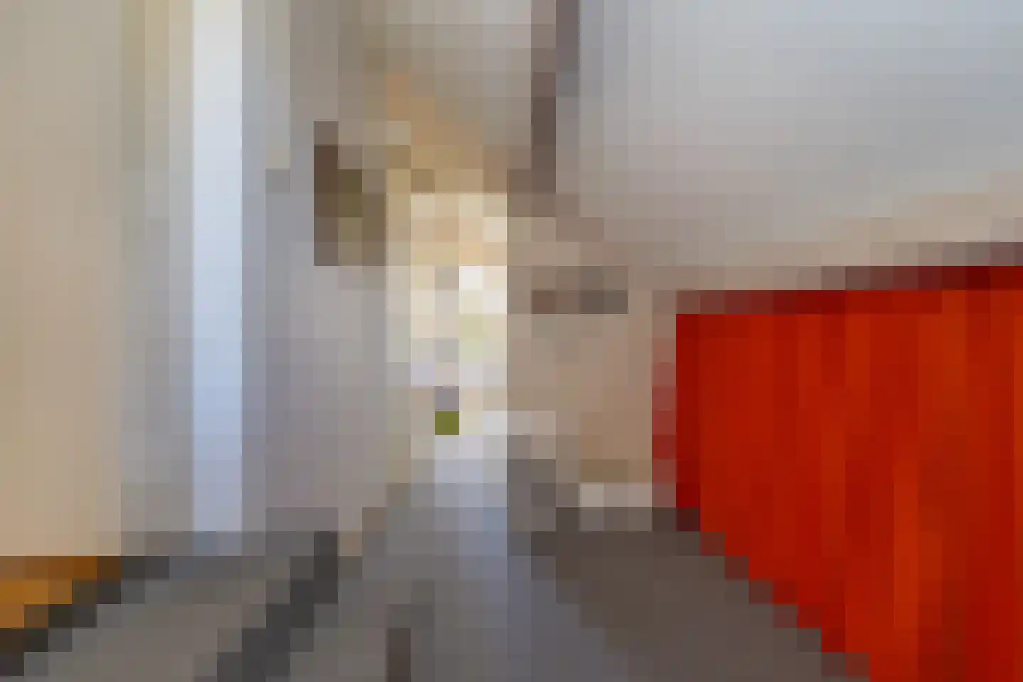 Teune Smeedstraat 3 Stramproy thumbnail 35