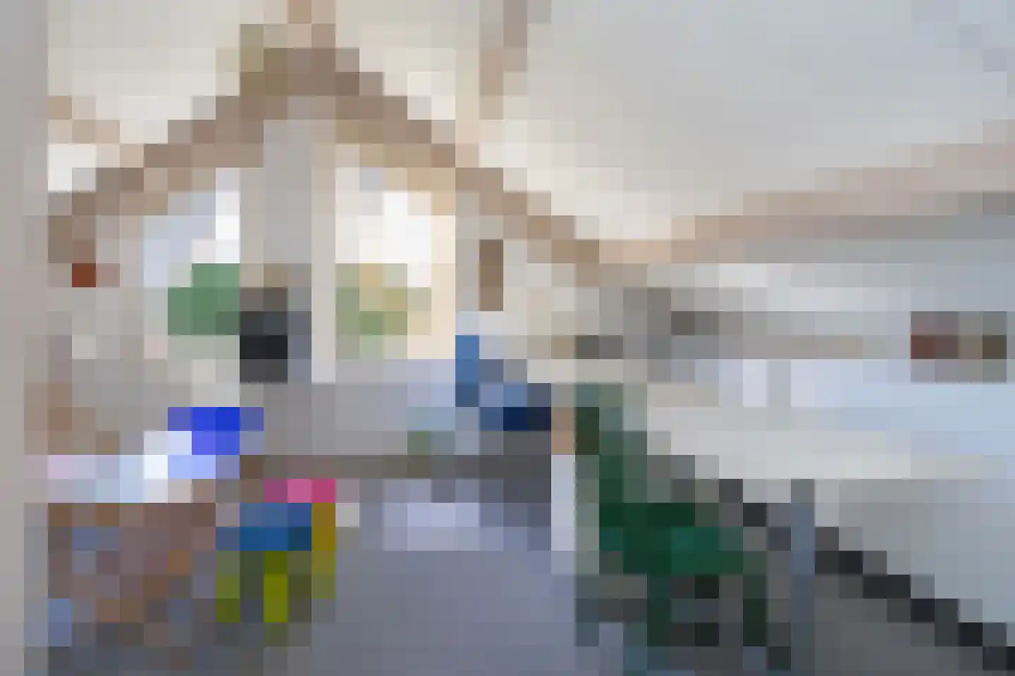 Teune Smeedstraat 3 Stramproy thumbnail 36