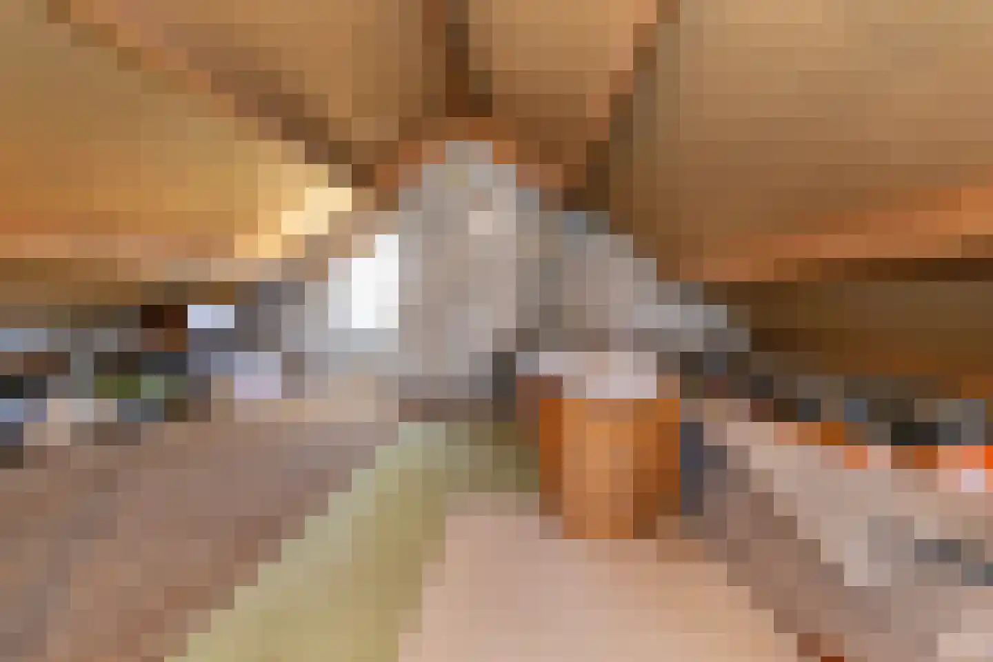 Teune Smeedstraat 3 Stramproy thumbnail 39