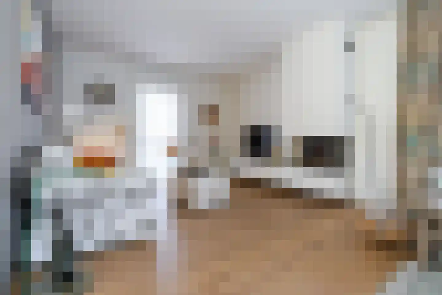 Teune Smeedstraat 3 Stramproy thumbnail 9