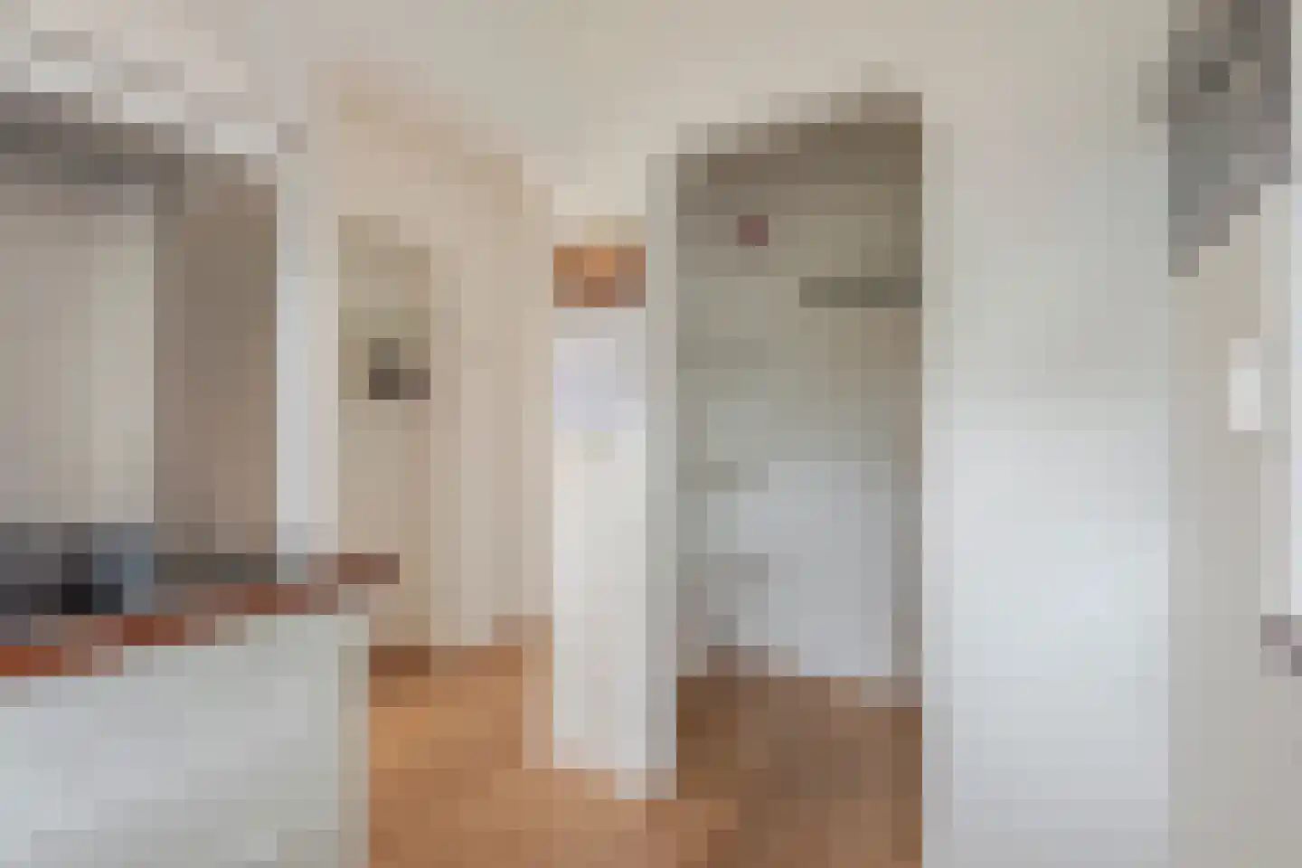 Teunenmijns 20 Laren thumbnail 22