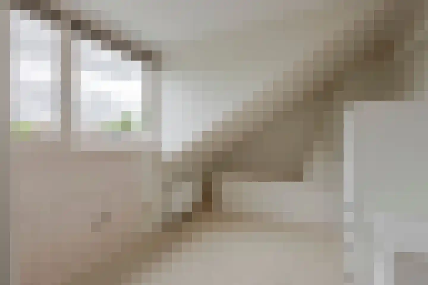 Teunenmijns 20 Laren thumbnail 36