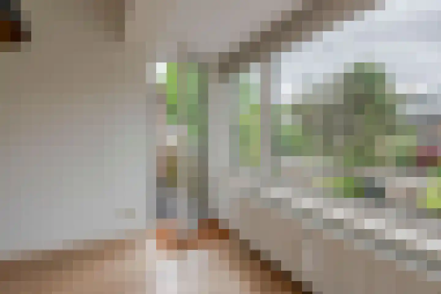 Teunenmijns 20 Laren thumbnail 38