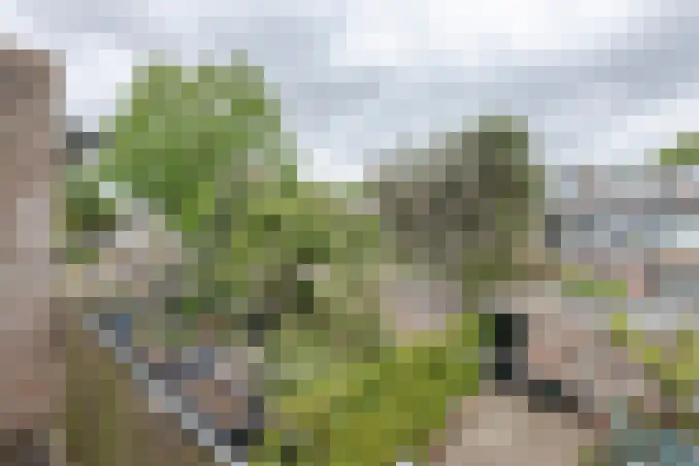 Teunenmijns 20 Laren thumbnail 40