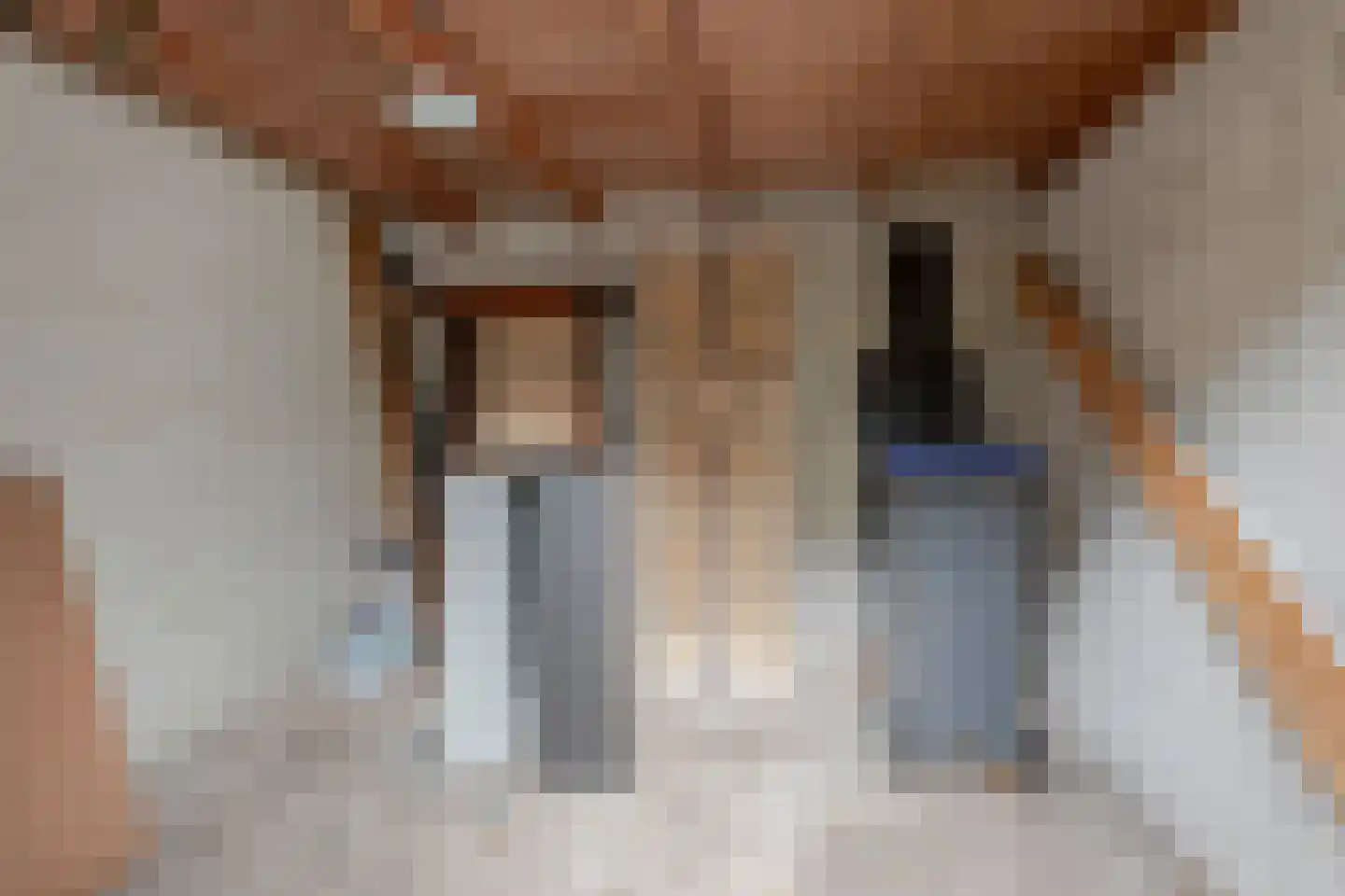 Teunenmijns 20 Laren thumbnail 43