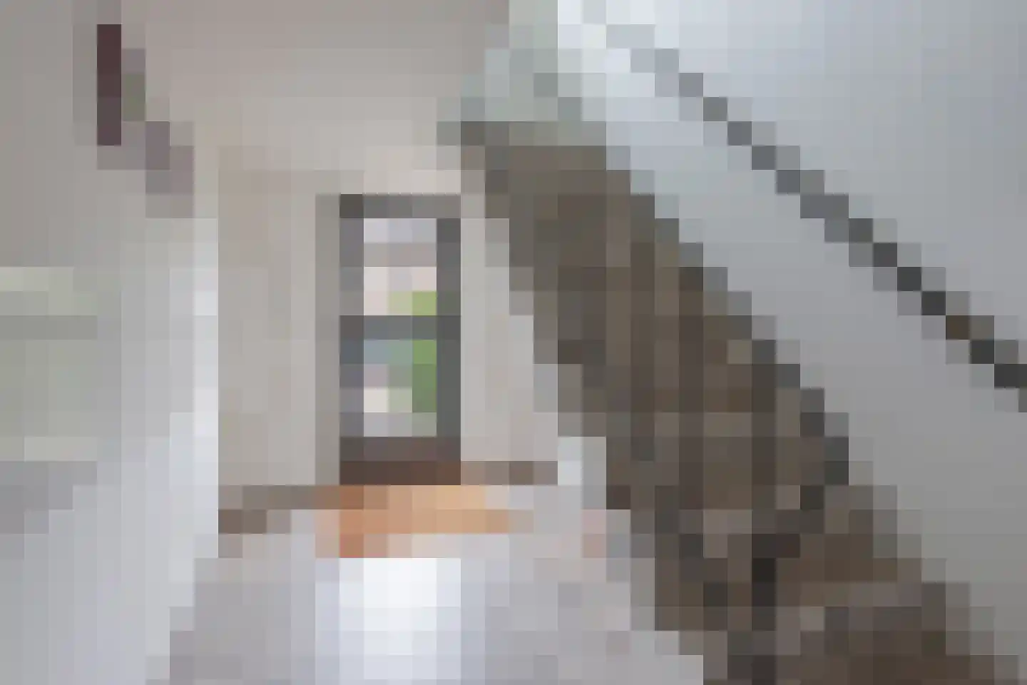 Teunenmijns 20 Laren thumbnail 8